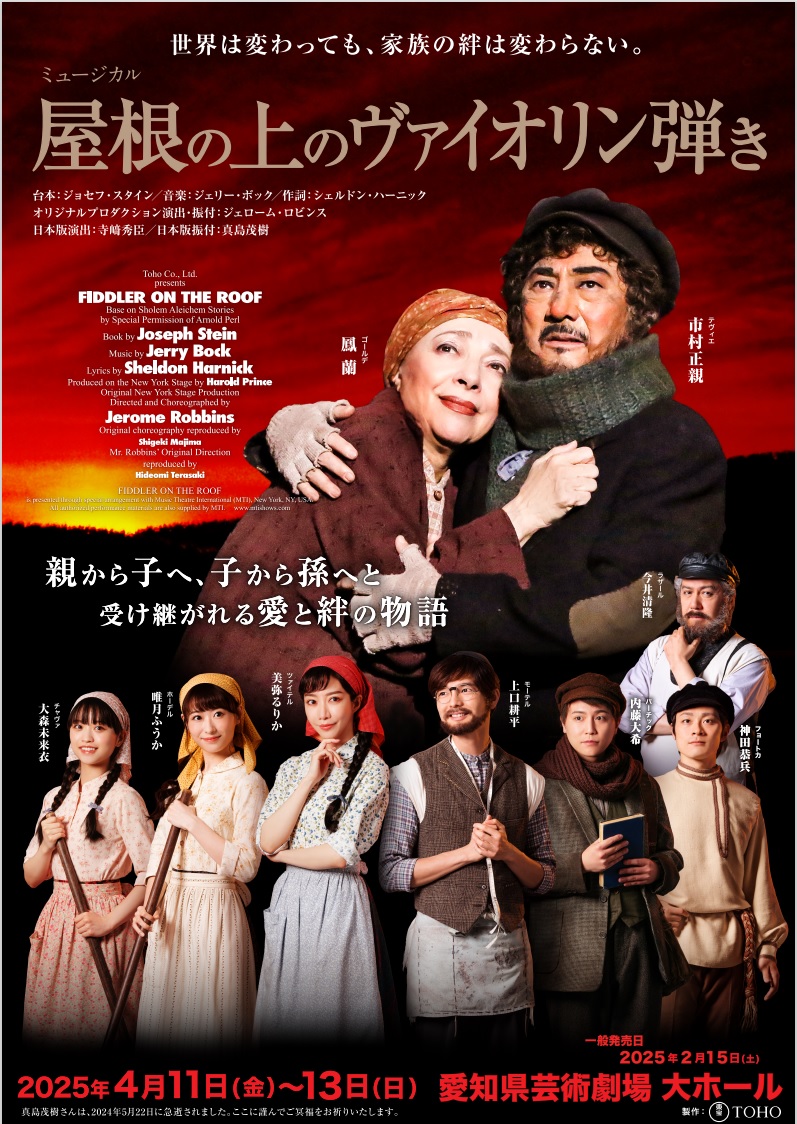25.4.11-13fiddleronroof