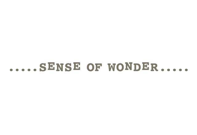 sense-of-wonder_l