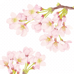 2025happyspringgift-xs